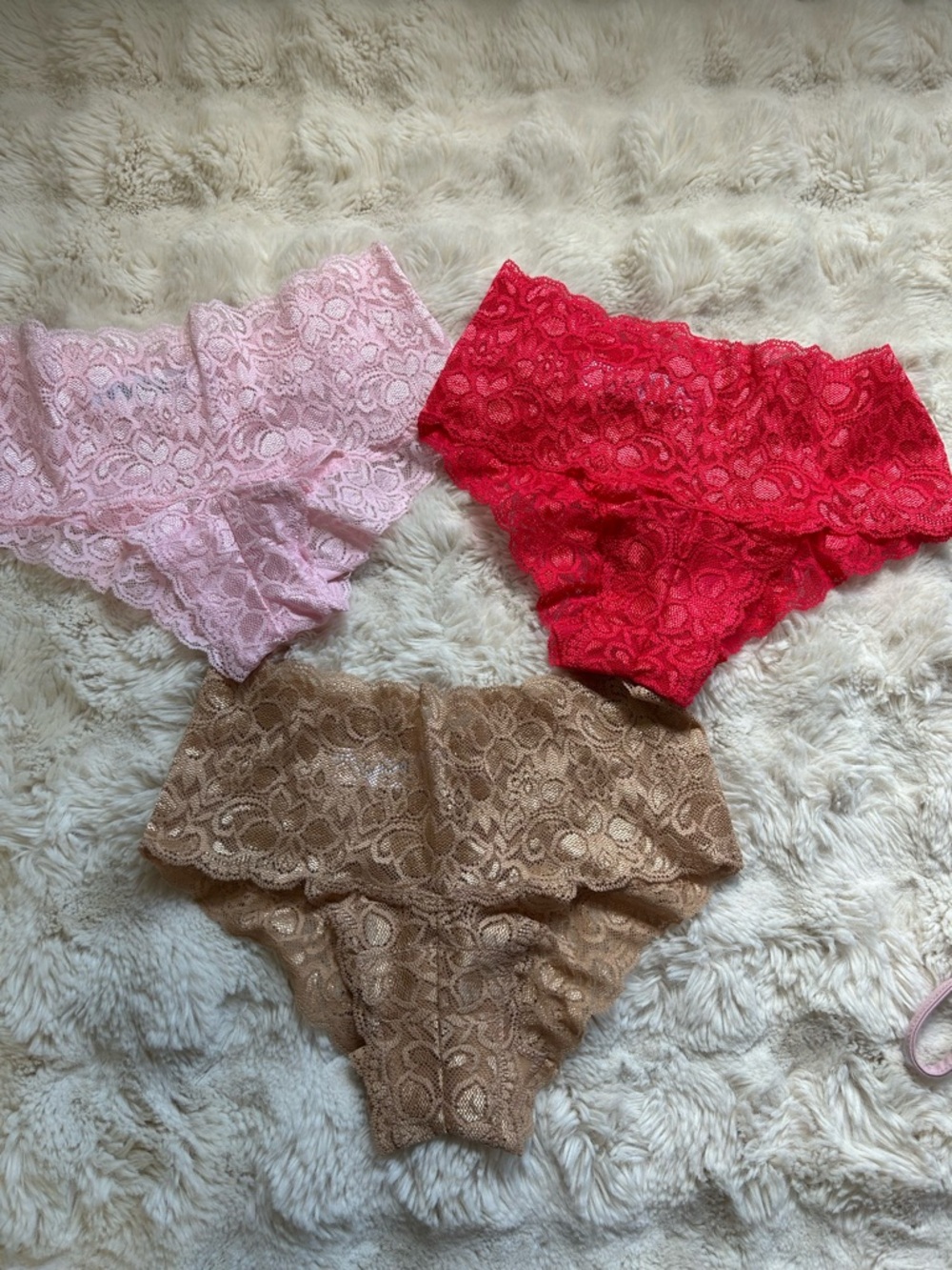 Quince Lace Low Rise Cheeky Beiefs
